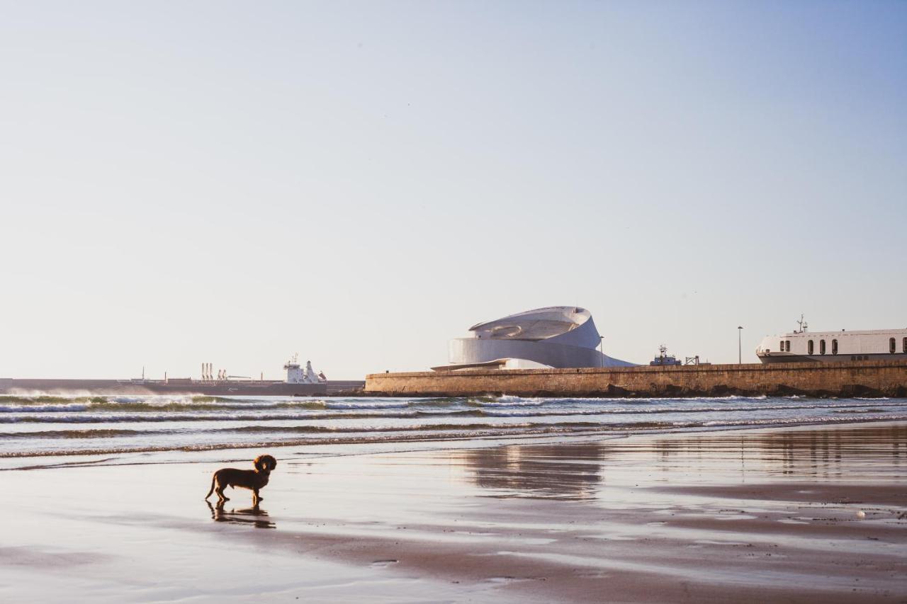 Oceanside Matosinhos - Ecohost Matosinhos (Porto) Exterior foto